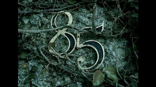 10088125706_27276311d9